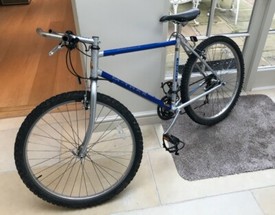 kona lava dome 1998